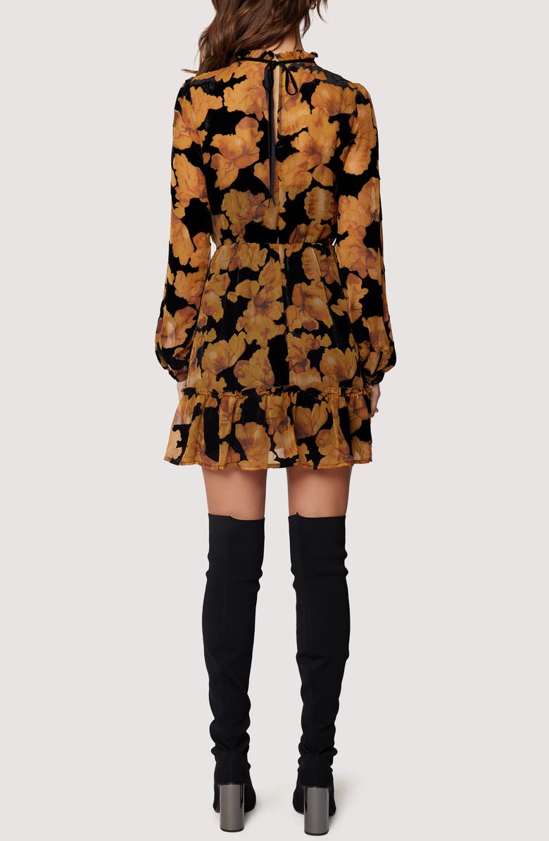 Lost + Wander Massimo Floral Long Sleeve Minidress, Alternate, color, 