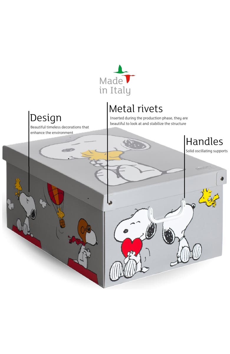 Lavatelli 6 Pack Large Sized Storage Box, Alternate, color, Multicolored