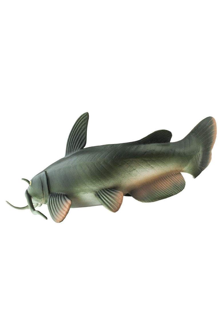 Catfish Toy, Alternate, color, No Color