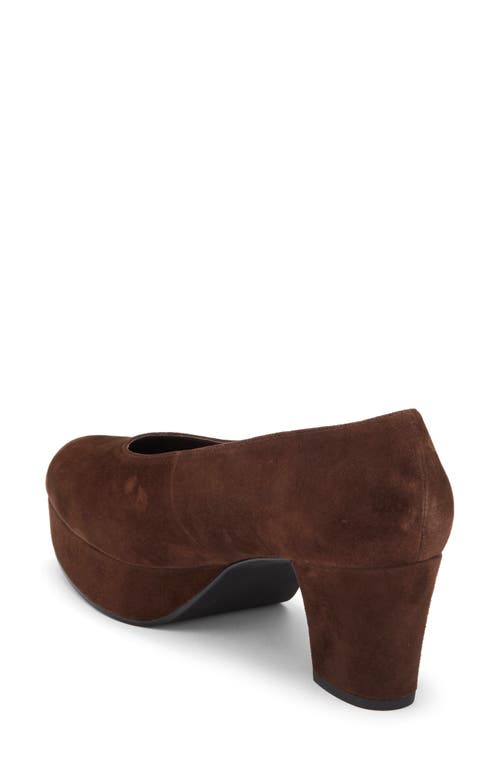 Jeffrey Campbell Chapters Almond Toe Platform Pump In Brown