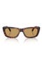  Havana / Brown