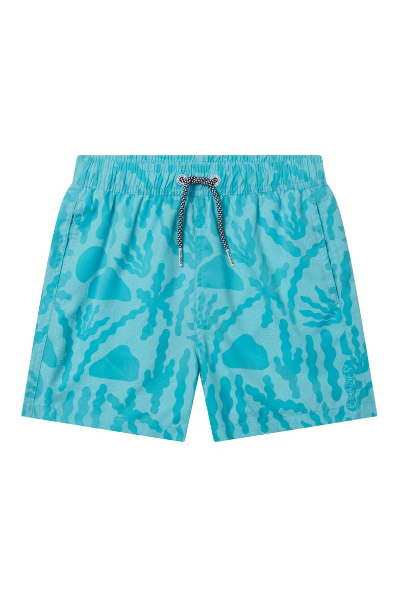 Kids' Bacalar Blue Swim Trunks, Alternate, color, BLUE