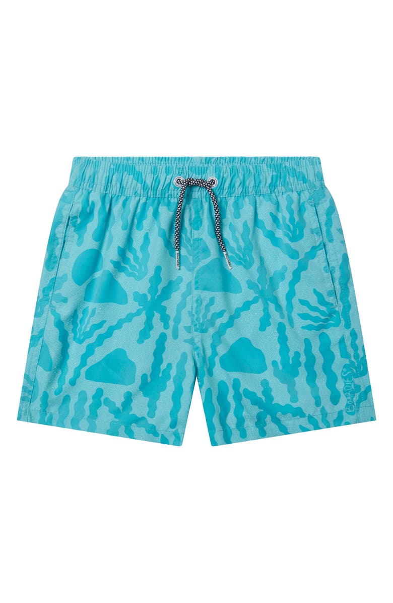 Boardies Kids' Bacalar Blue Swim Trunks, Alternate, color, Blue