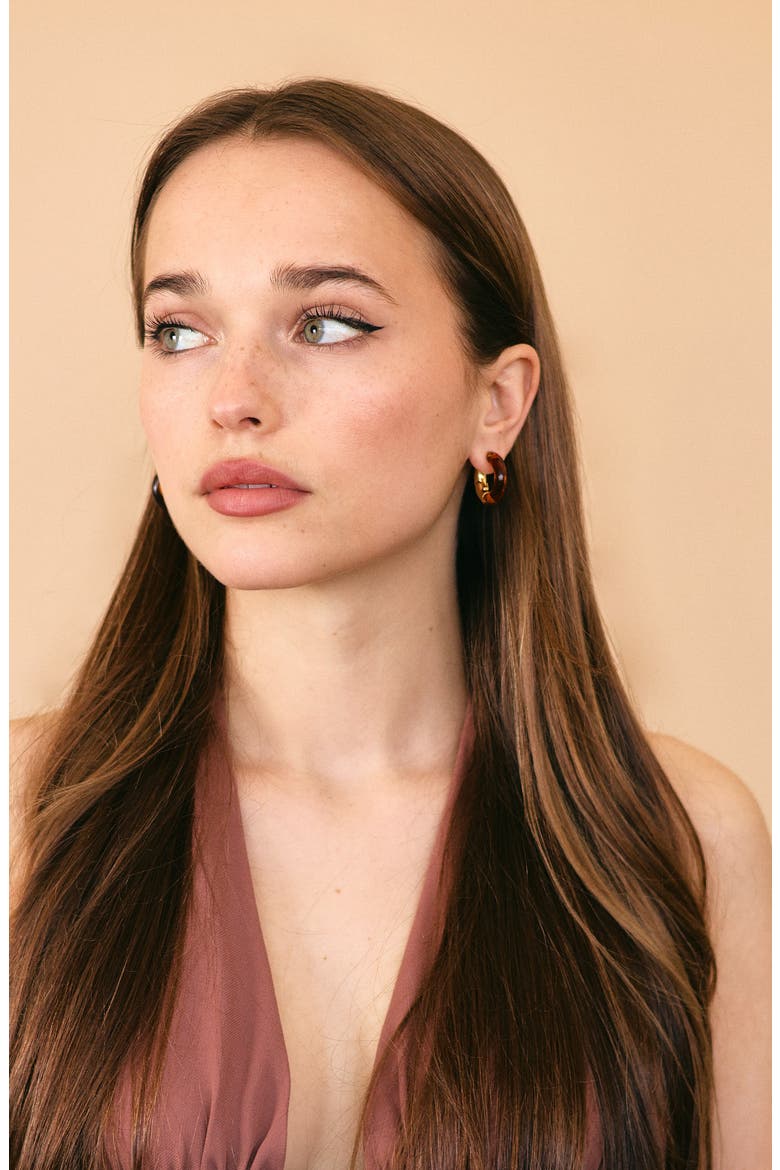 Acacia Resin Hoop Earrings, Alternate, color, BROWN