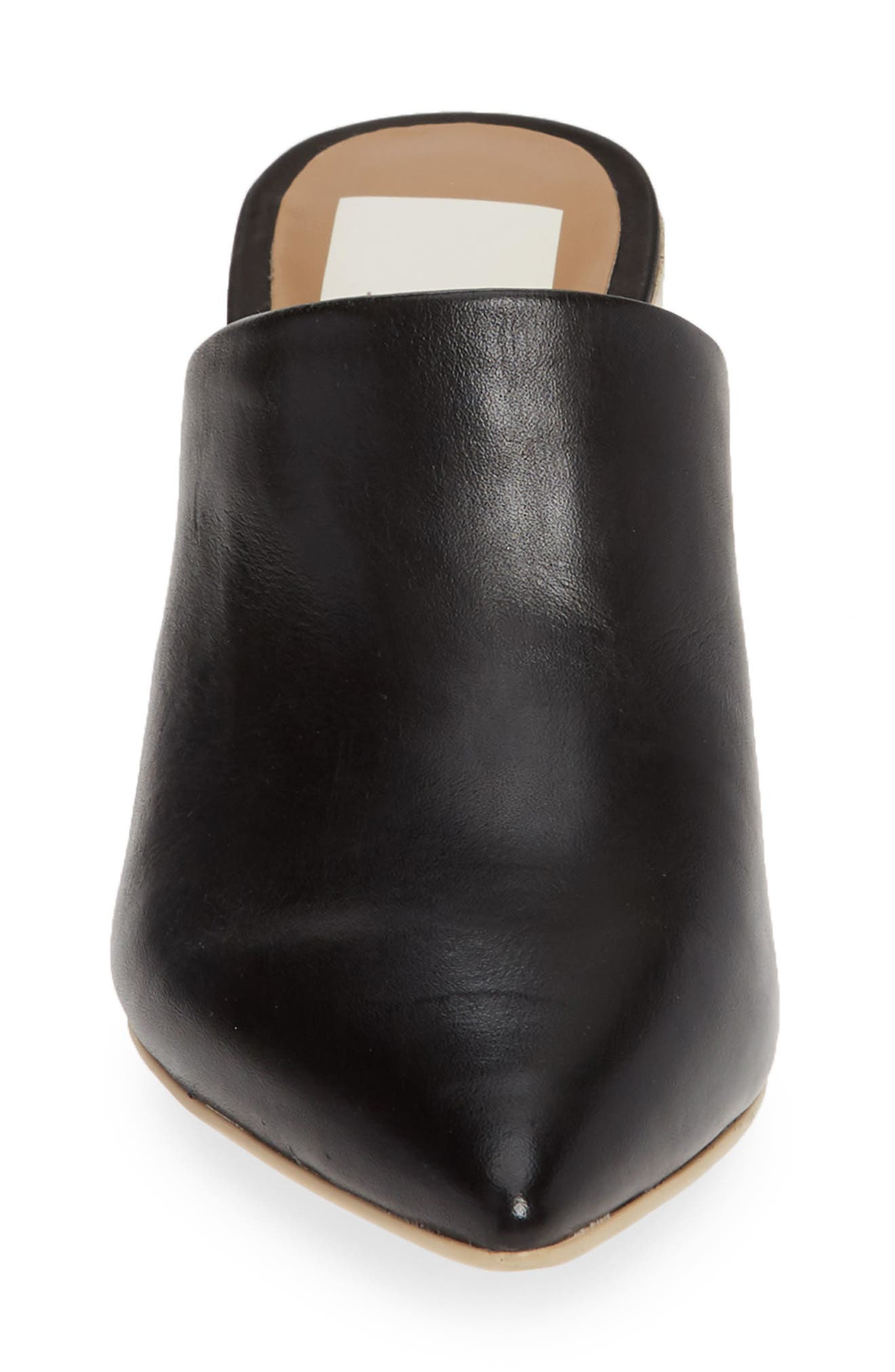 Dolce Vita Angela Pointy Toe Mule, Alternate, color, 