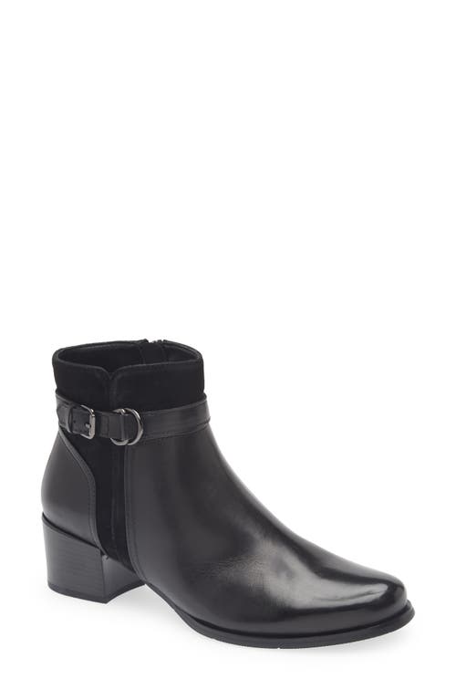 Regarde Le Ciel Jolene Block Heel Bootie In Black