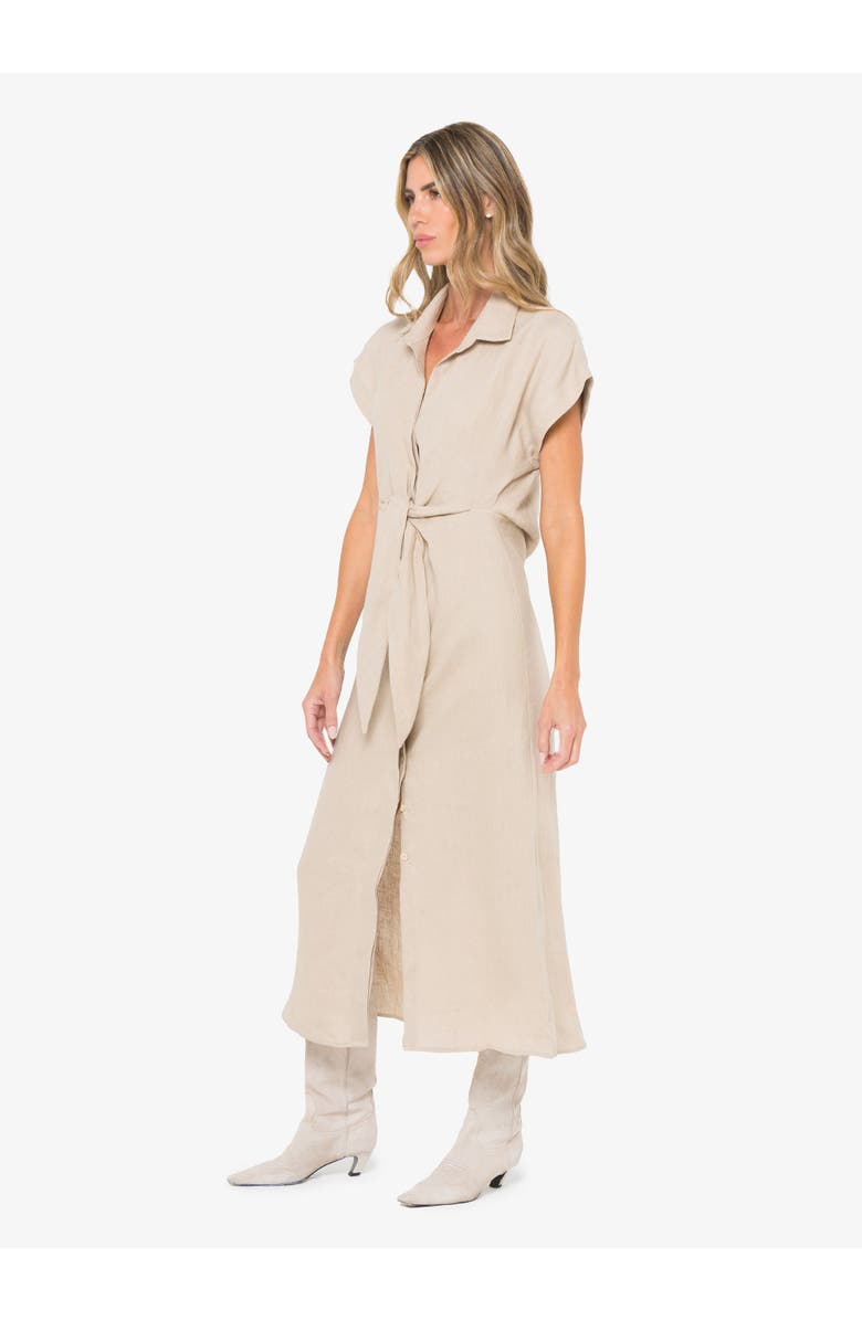 JBQ Darcy Dress, Alternate, color, Safari