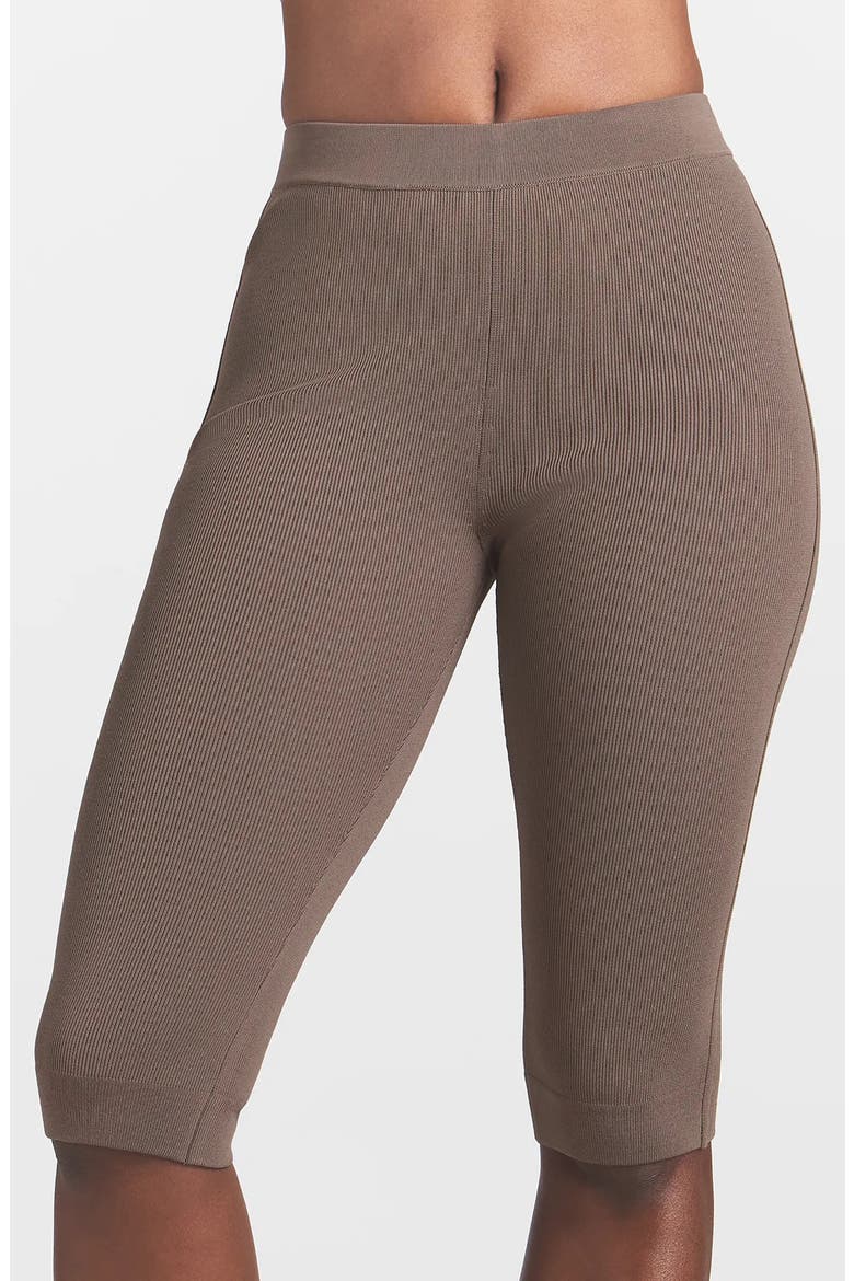 Refined Knit Capri Pants, Alternate, color, AMETHYST