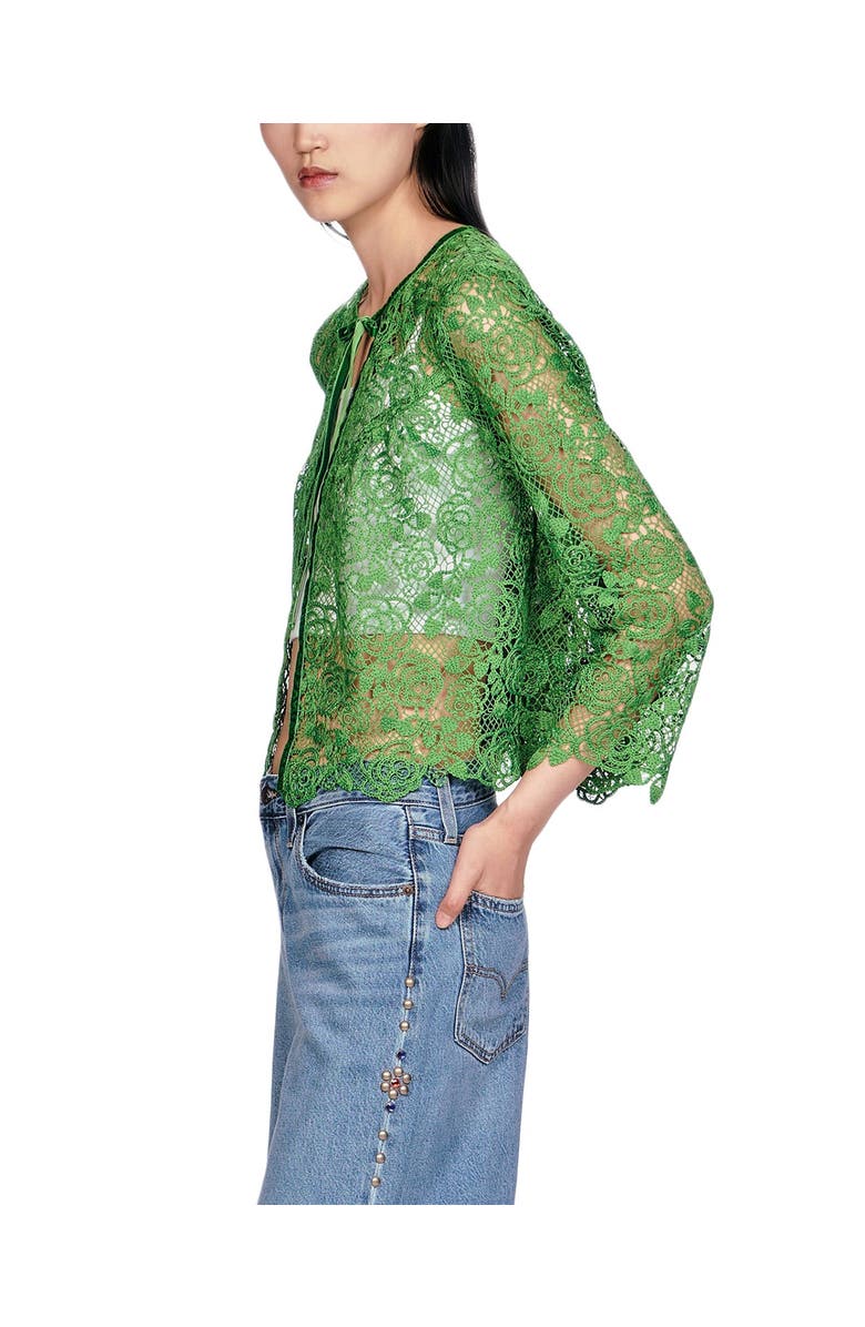 Anna Sui Rose Crochet Lace Bed Jacket, Alternate, color,