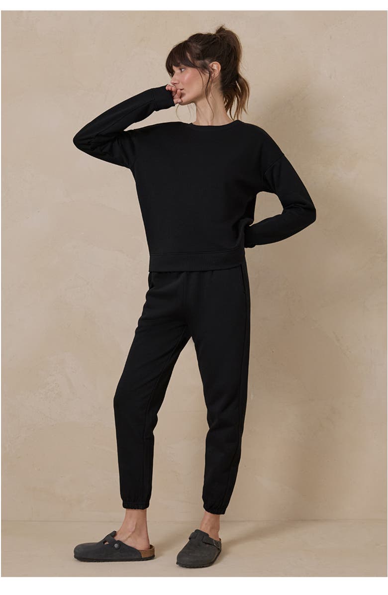 Pact Organic Cotton Brushed Fleece Sweatpant, Alternate, color, Black