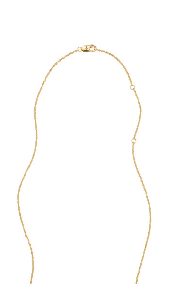 Fur Baby Disc Necklace, Alternate, color, Gold Filled