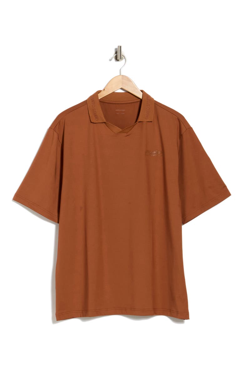 Last Supper Club Polo, Alternate, color, BROWN