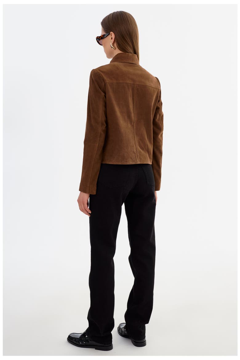 Jolene | Suede Jacket, Alternate, color, Brown