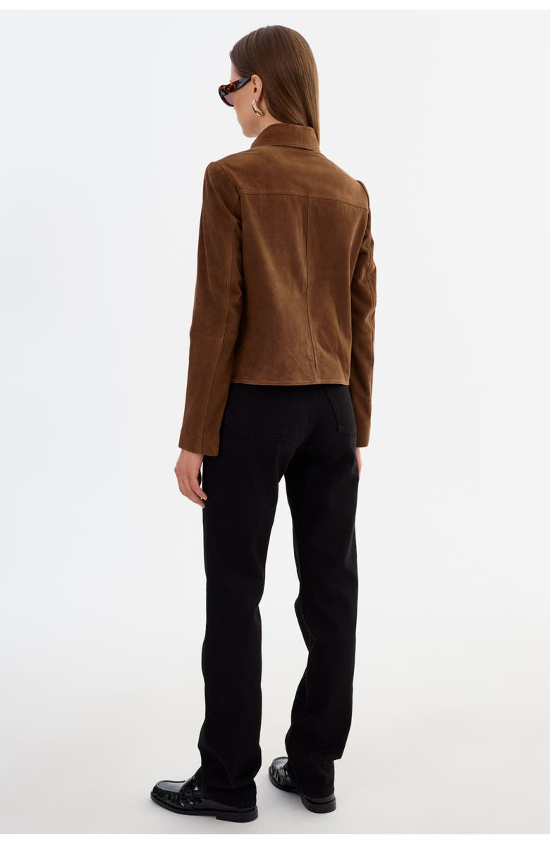 LAMARQUE Jolene | Suede Jacket, Alternate, color, Brown