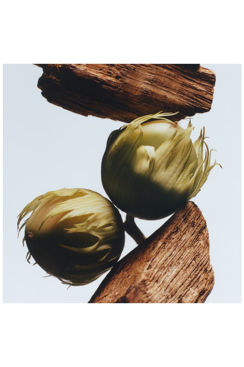 English Oak & Hazelnut Body & Hand Wash, Alternate, color, NO COLOR