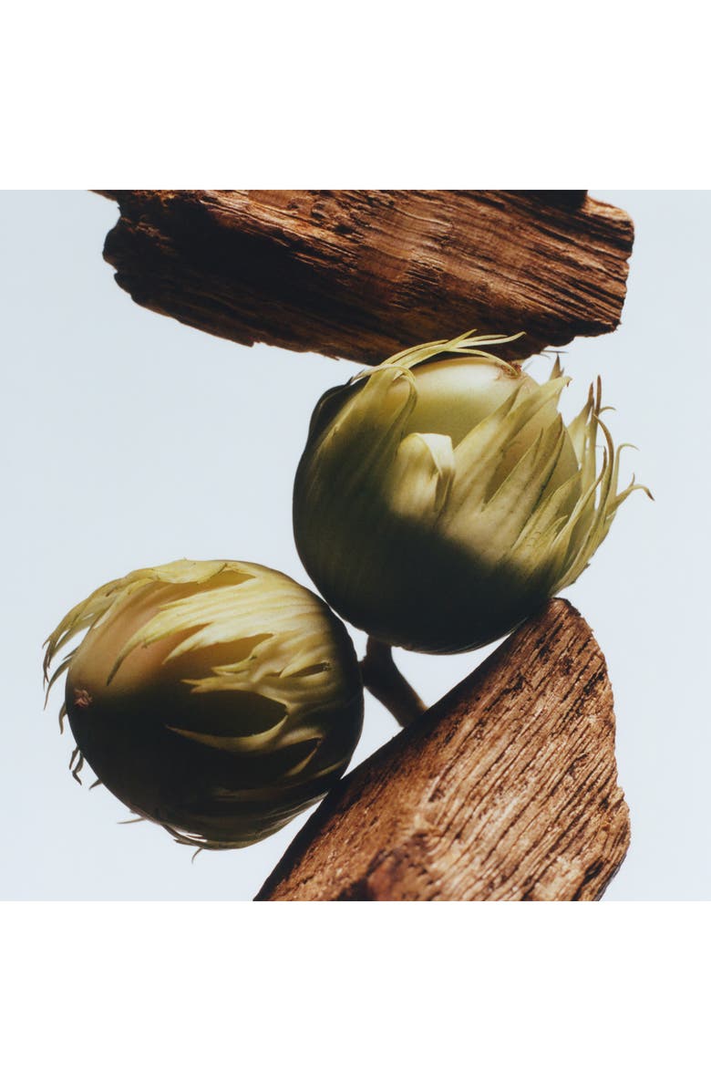 Jo Malone London<sup>™</sup> English Oak & Hazelnut Body & Hand Wash, Alternate, color, 