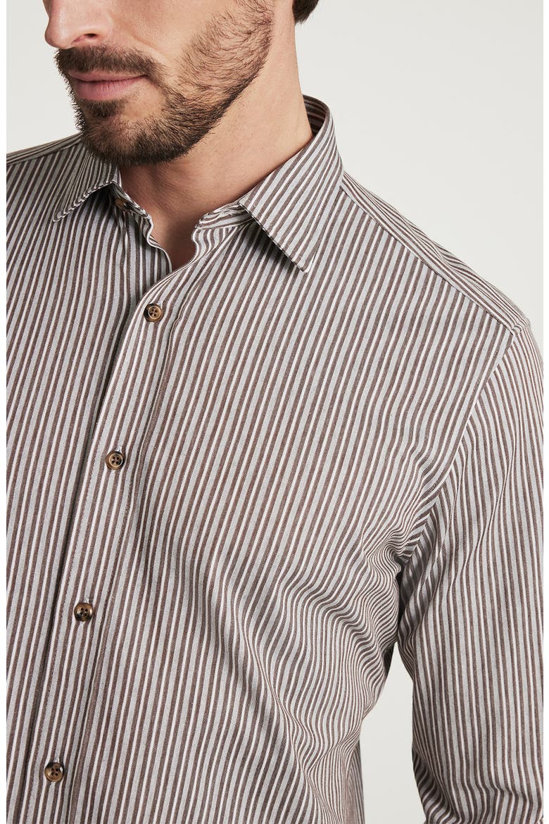 Stripe Button-Up Shirt, Alternate, color, BROWN