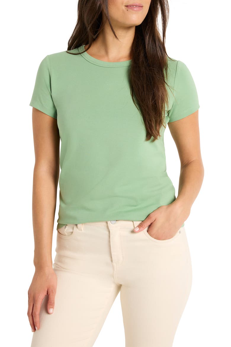 Perfect Knit Crewneck T-Shirt, Main, color, HAPPY APPLE