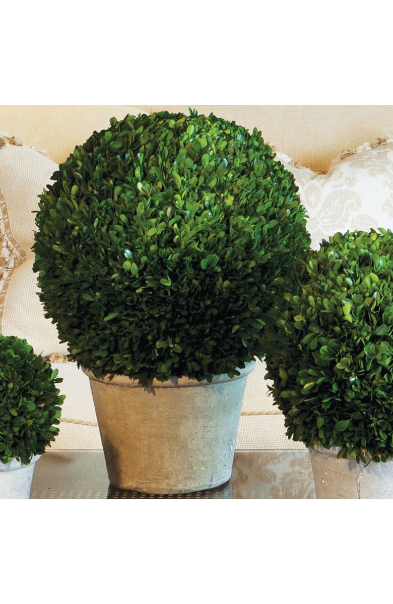 Napa Home & Garden Boxwood 12" Faux (Fake) Ball In Pot, Alternate, color, Green