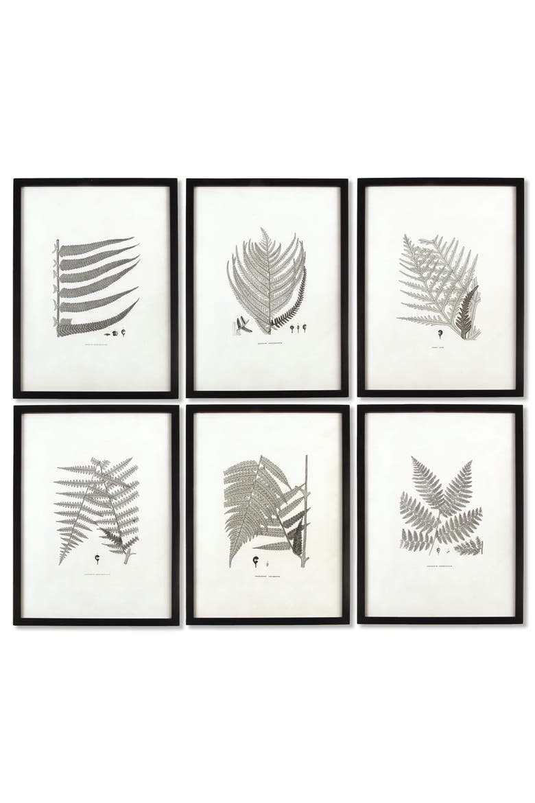 Framed Gray-Tone Fern Prints Set of 6, Main, color, Black