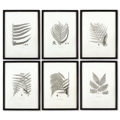 Framed Gray-Tone Fern Prints Set of 6