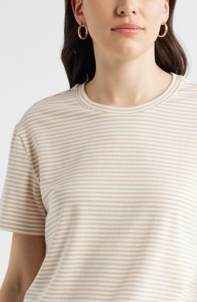 Caslon<sup>®</sup> Stripe Crop T-Shirt, Alternate, color, 