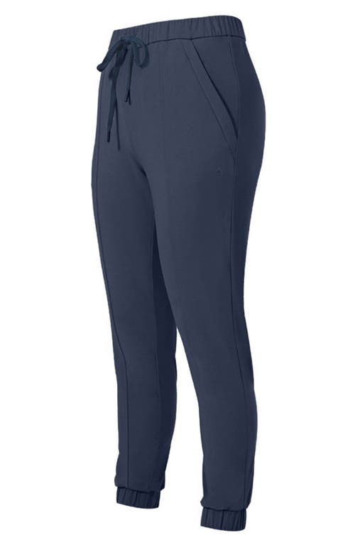 Vitality Nomad Jogger In Blue