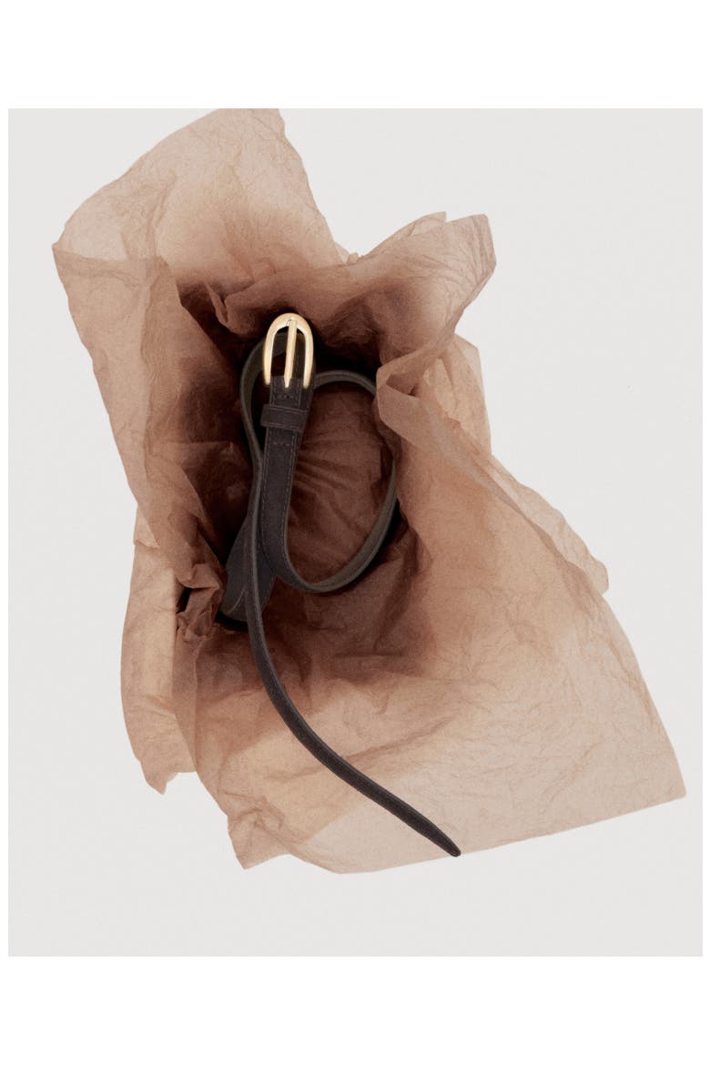 Thin Suede Belt, Alternate, color, CHOCOLATE