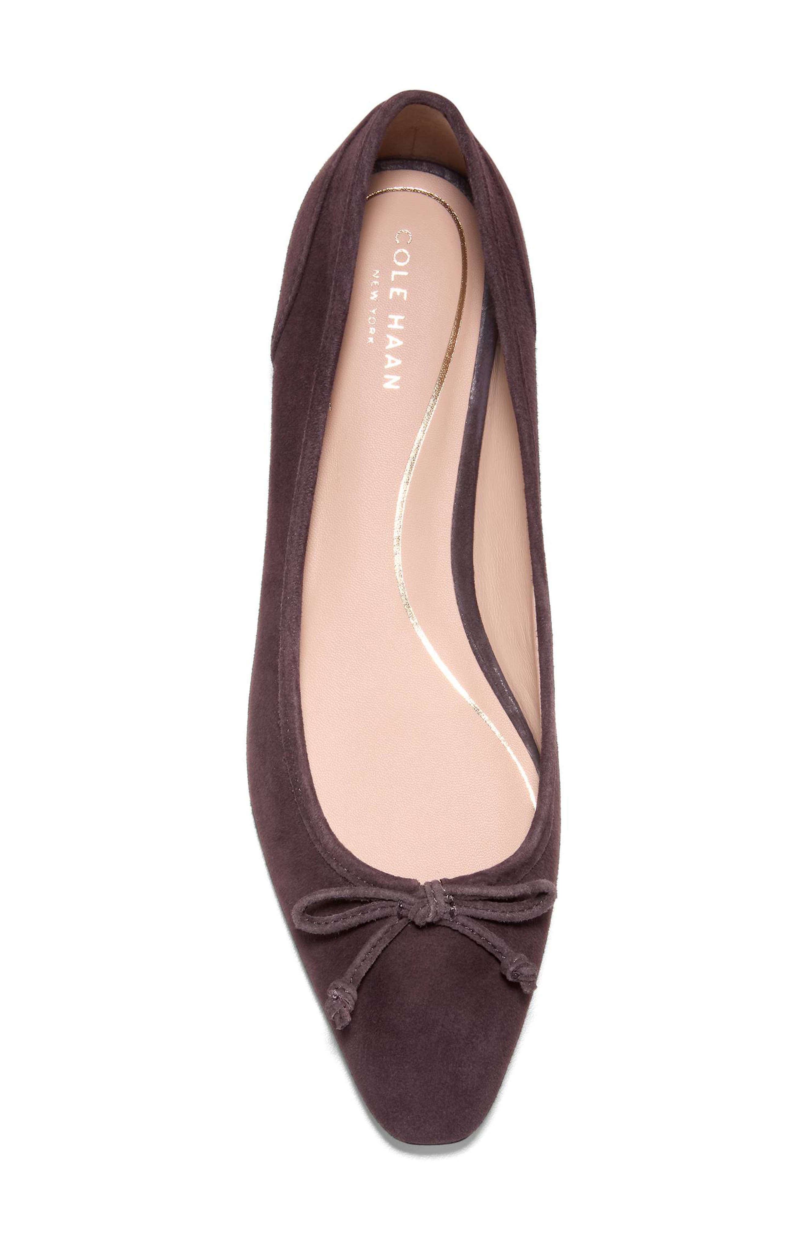 Paget Leather Ballet Flat, Alternate, color, DARK CHOCOLATE SUEDE