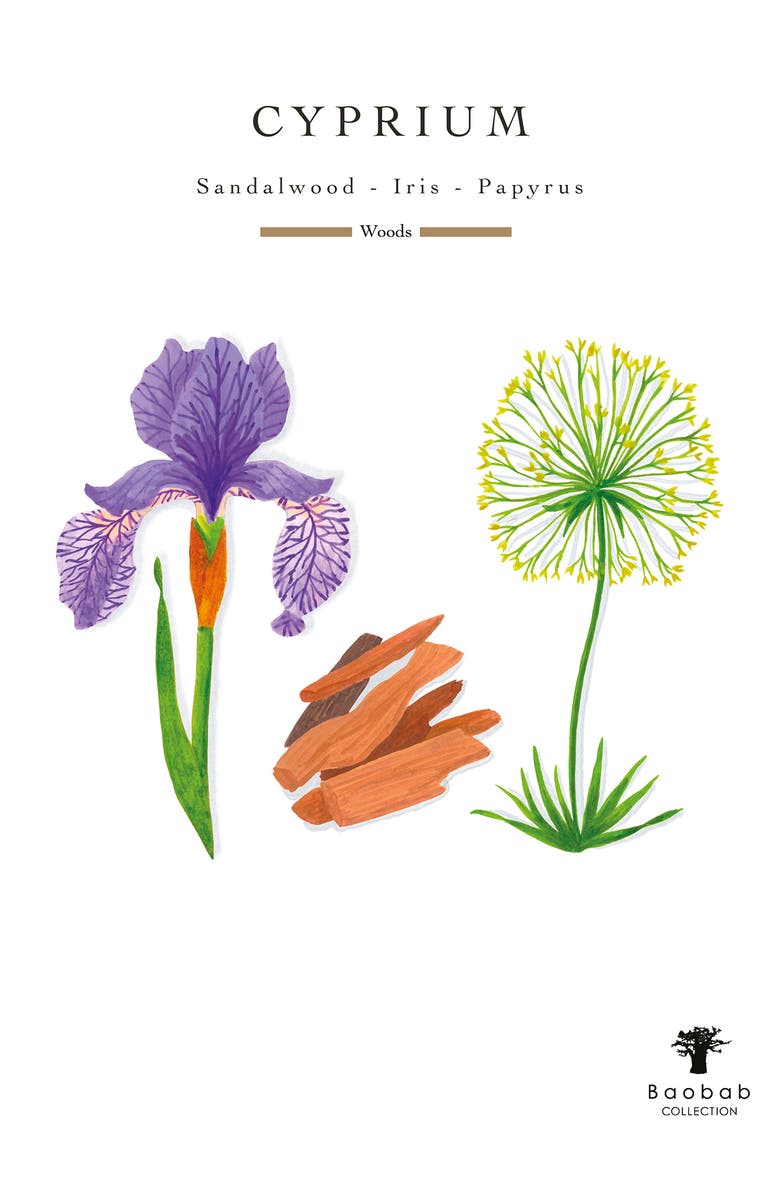 Baobab Collection Les Exclusives Cyprium Max Candle, Alternate, color, Shiny Copper