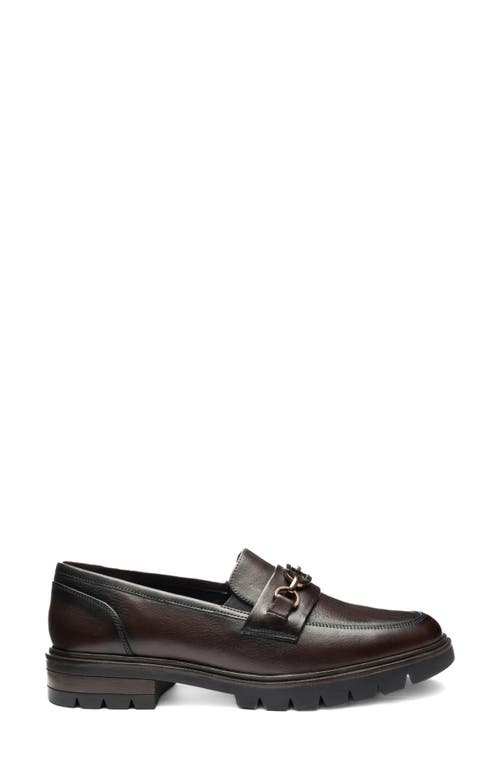 Ara Camellia Lug Sole Bit Loafer In Brown