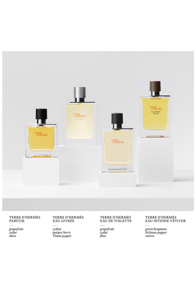 Terre d’Hermès - Eau de Toilette Duo $228 Value, Alternate, color, NO COLOR