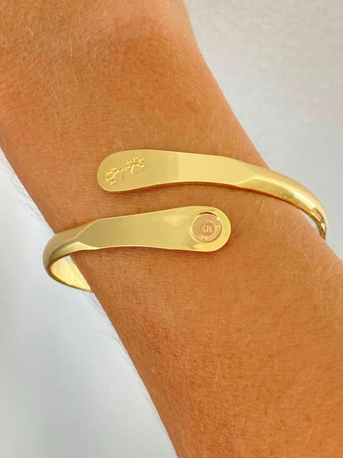 Hollywood Sensation Furry Friends Bracelet In Gold