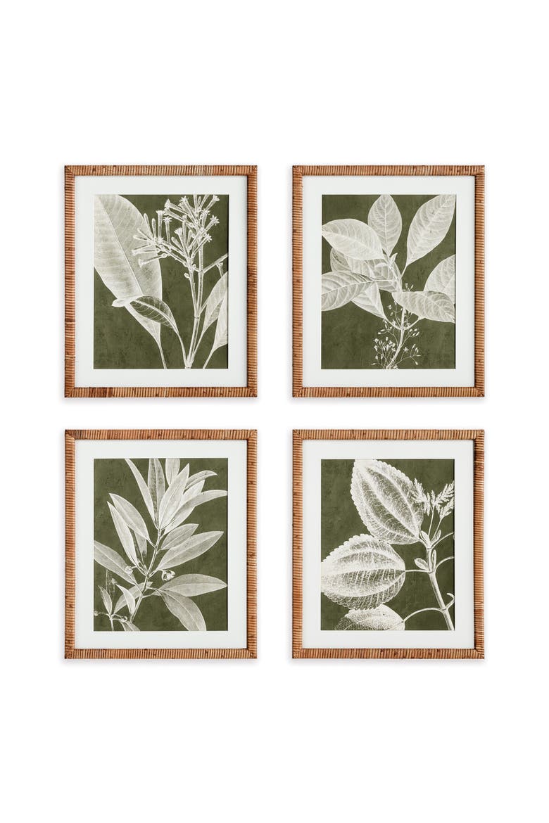 Translucent Stem Prints Set of 4, Main, color, Green