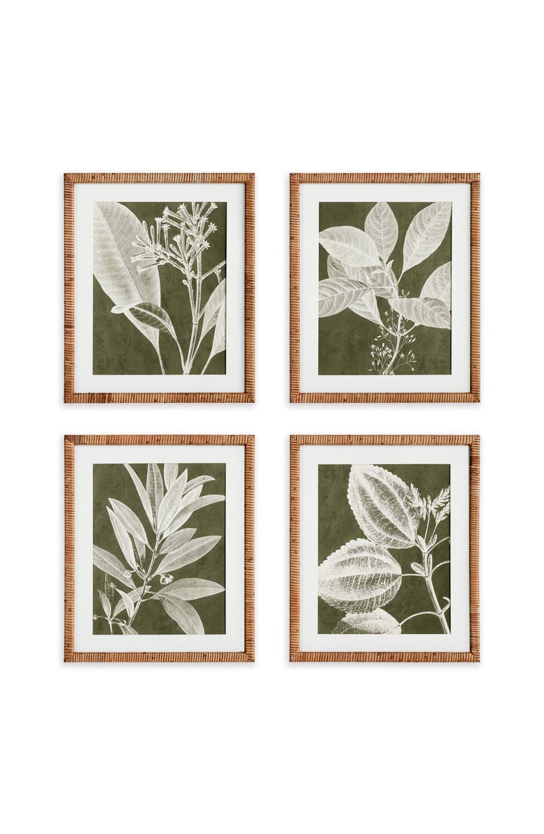Napa Home & Garden Translucent Stem Prints Set of 4, Main, color, Green