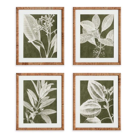 Translucent Stem Prints Set of 4