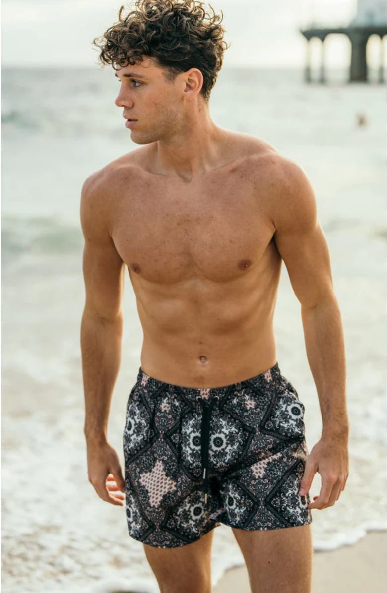 Ivy Swimwear Hudson Swim Shorts, Alternate, color, Black