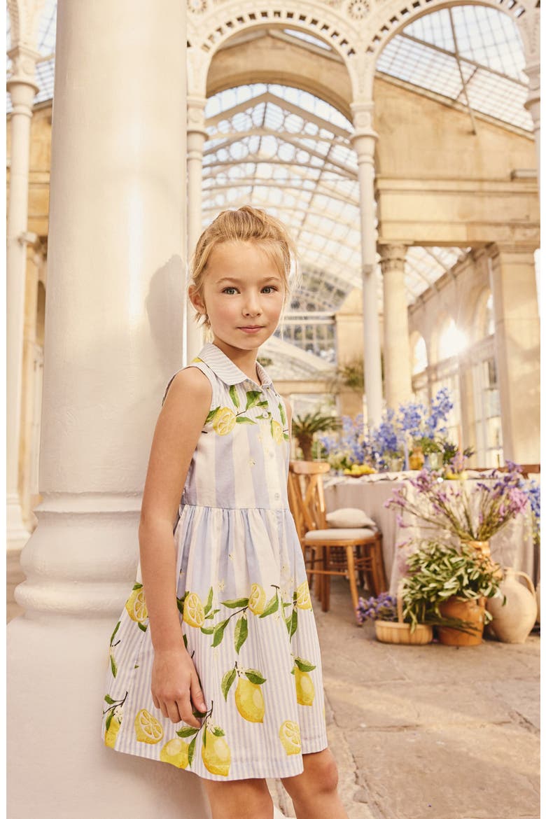 Stripe Lemon Print Cotton Shirtdress, Alternate, color, BLUE