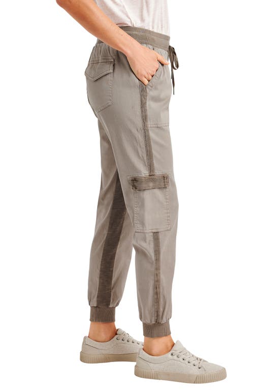 Splendid Jaclyn Drawstring Waist Joggers In Brown