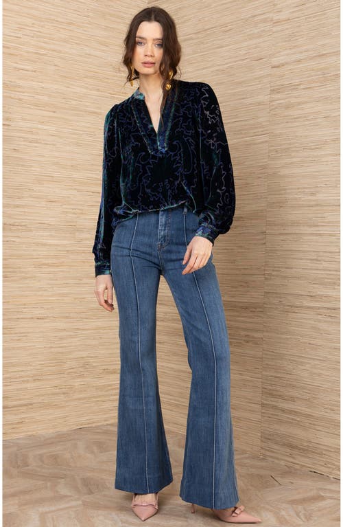 Hale Bob Kailey Velvet Top In Blue