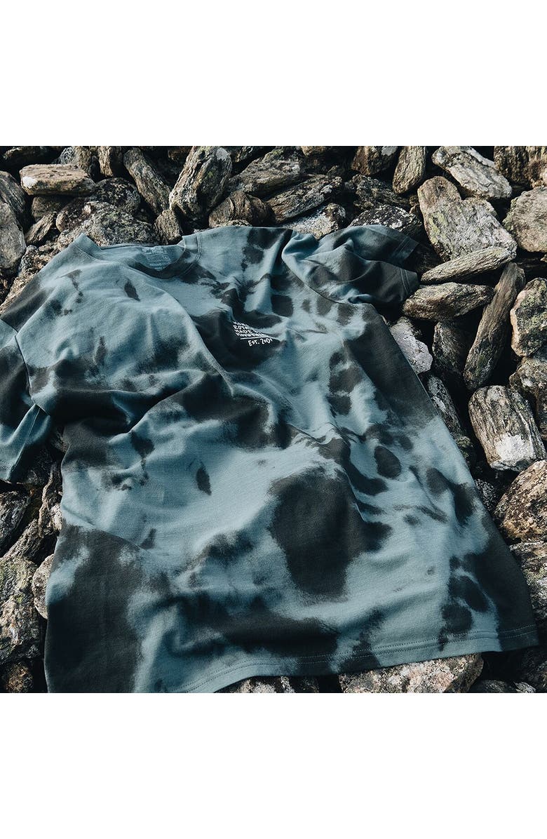 Mons Royale Icon Tie Dyed T-Shirt - Men
s, Alternate, color, Sage Tie Dye