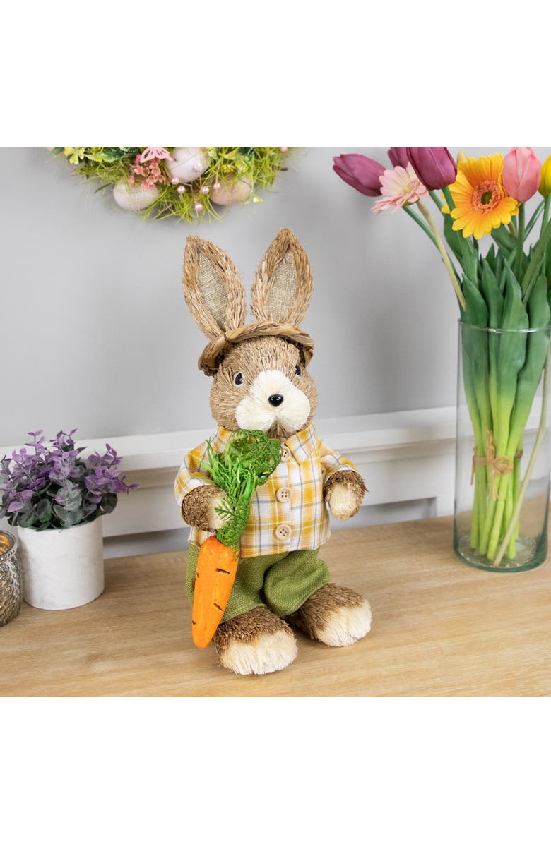 Northlight Rustic Boy Rabbit with Carrot Standing Easter Figure - 13.75" - Brown and Yellow, Alternate, color, Brown