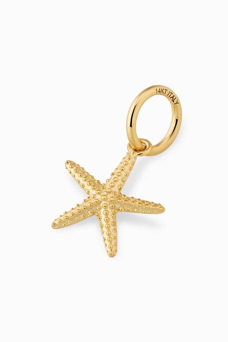 14K Yellow Gold Starfish Pendant Charm, Alternate, color, Yellow Gold