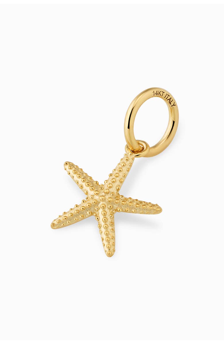 Oradina 14K Yellow Gold Starfish Pendant Charm, Alternate, color, Yellow Gold