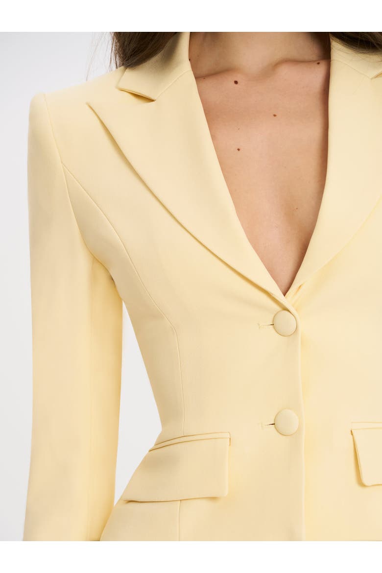 Quinne Tailored Business Casual Slim Blazer, Alternate, color, Yellow