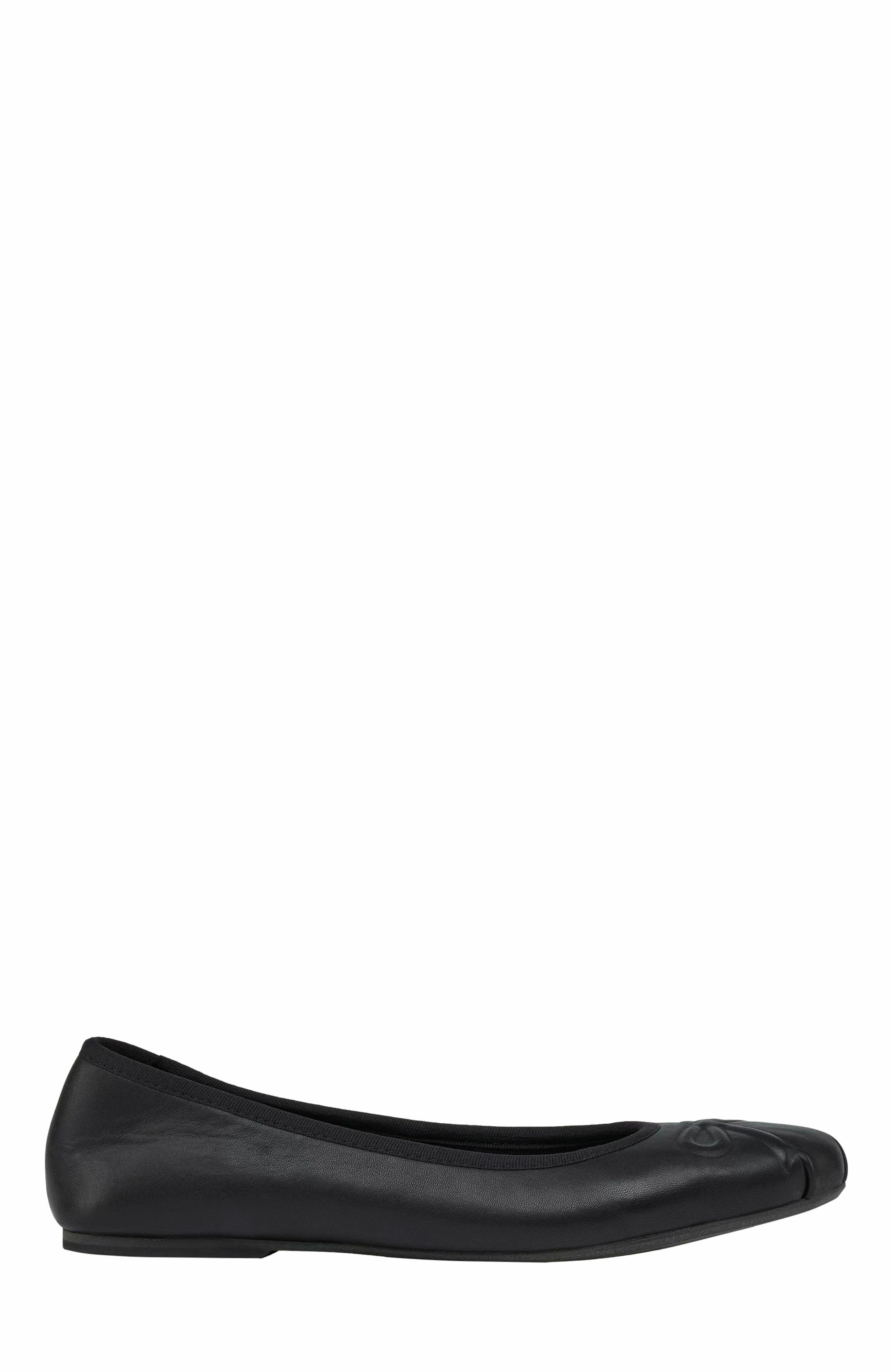 Grace Footwear Reggio Ballerina, Alternate, color, Black