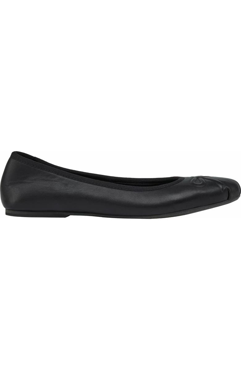 Grace Footwear Reggio Ballerina, Alternate, color, Black