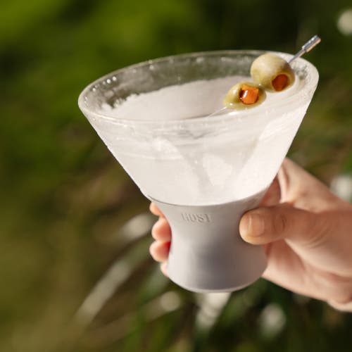 Host Glass Freeze Martini Cooling Cup Set Of 2 In Gray
