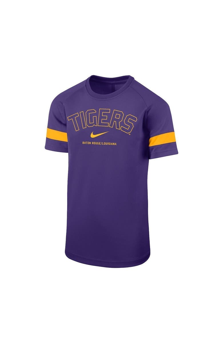 Nike Youth Nike Purple LSU Tigers Academy Sleeve Stripe Performance T-Shirt, Main, color, 