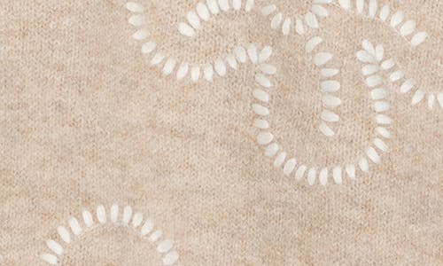 Parker Embroidered Sweater In Brown